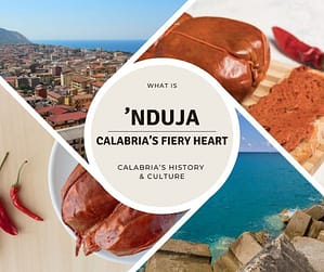 Wat is 'Nduja